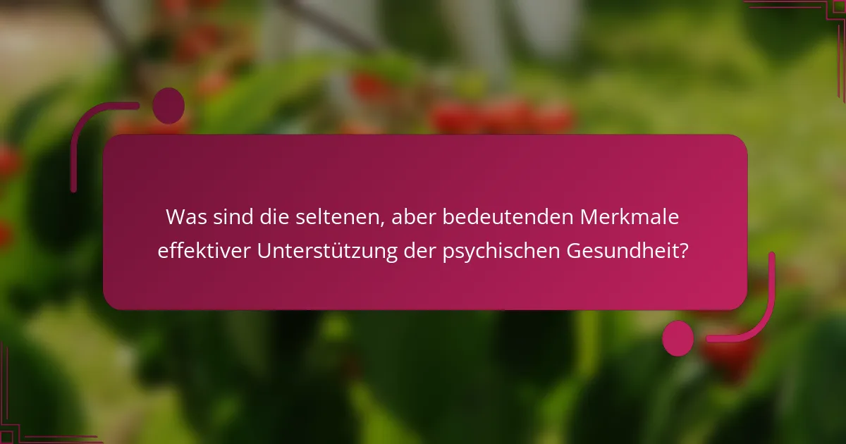 Was sind die seltenen, aber bedeutenden Merkmale effektiver Unterstützung der psychischen Gesundheit?