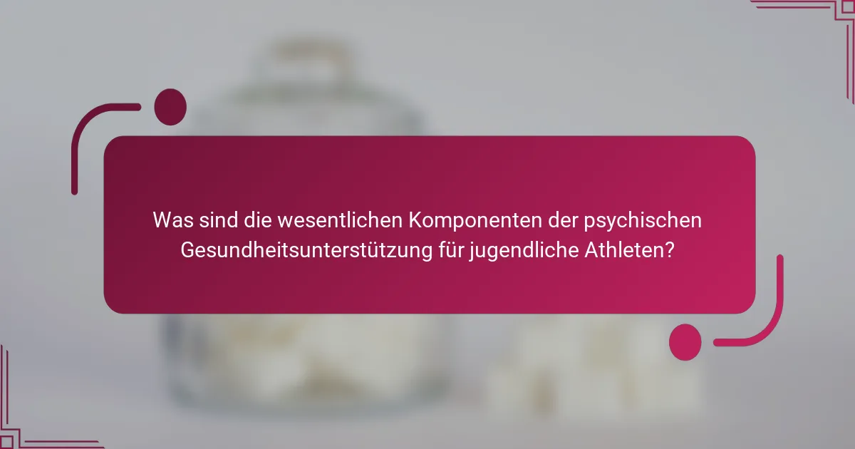 Was sind die wesentlichen Komponenten der psychischen Gesundheitsunterstützung für jugendliche Athleten?