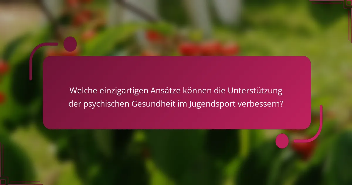 Welche einzigartigen Ansätze können die Unterstützung der psychischen Gesundheit im Jugendsport verbessern?